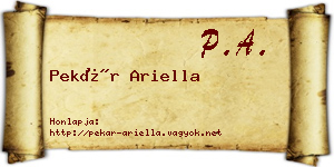 Pekár Ariella névjegykártya